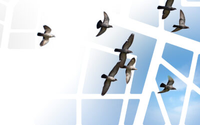Urban regeneration. The project, the law, an international vision